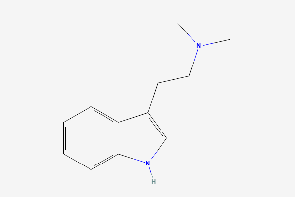 Tvívíð byggingarformúla: DMT / ayahuasca. 2-(1H-indol-3-yl)-N,N-dimethylethanamine